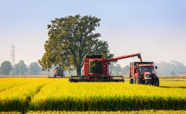 dotazione-aziende-agricole